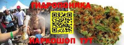 ешки Котовск