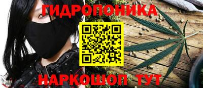 ешки Котовск