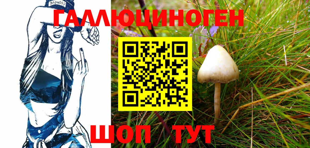 как найти наркотики  Галлюциногенные грибы Magic Shrooms  Псилоцибиновые грибы Psilocybe  Вход с VPN  Асино 